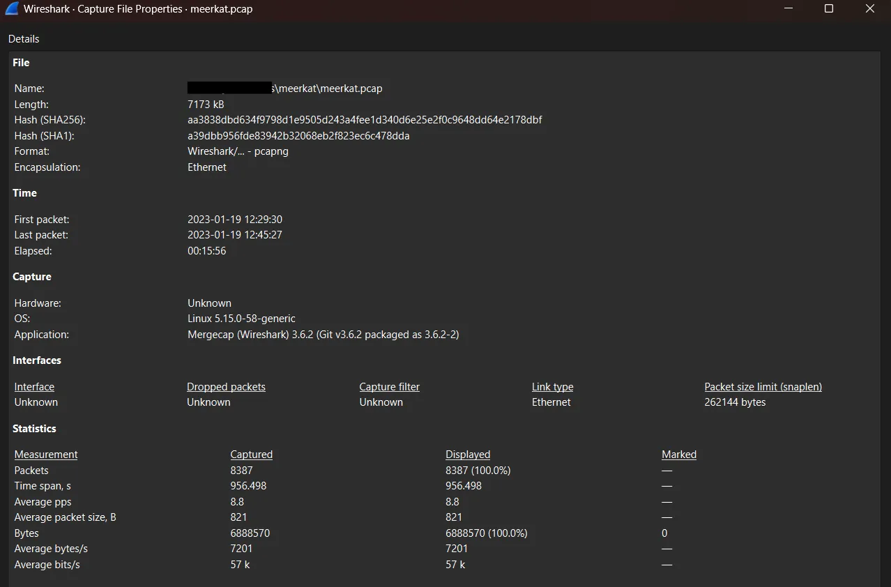 _Capture File Properties